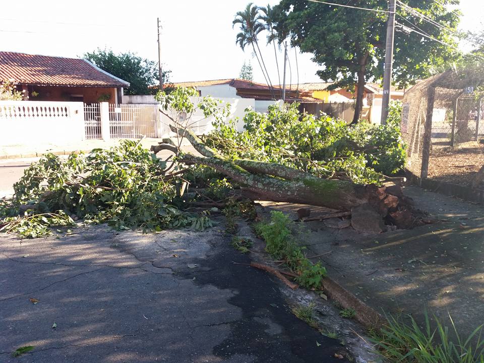 Chuva Causa Estragos Em Campinas CBN Campinas 99 1 FM