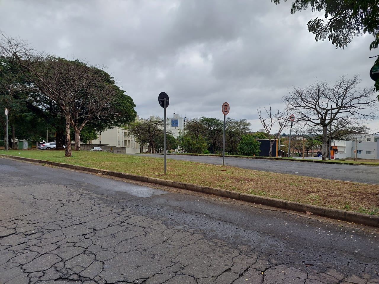 A Chuva Volta A Preocupa O Incid Ncia De Dengue Em Campinas