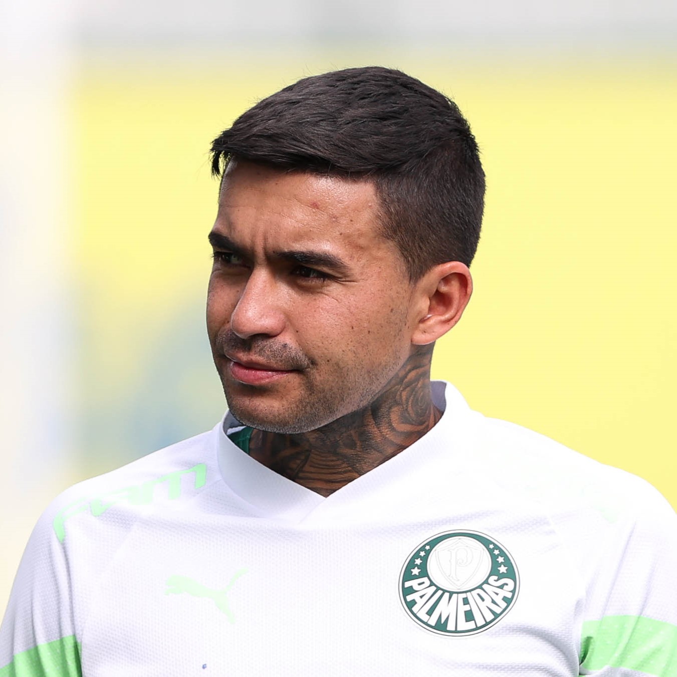 Dudu E Rony Treinam Normalmente E Devem Refor Ar O Palmeiras Contra O