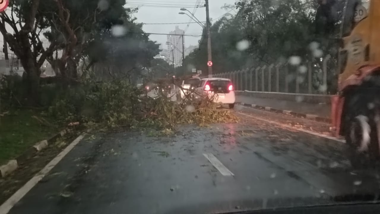 Mudança de tempo traz temporal e queda de árvores em Campinas CBN