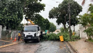 Chuva de domingo derruba 10 árvores e alaga Recanto dos Dourados em