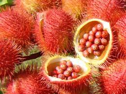 Pesquisadores da Unicamp estão desenvolvendo repelente a base de urucum