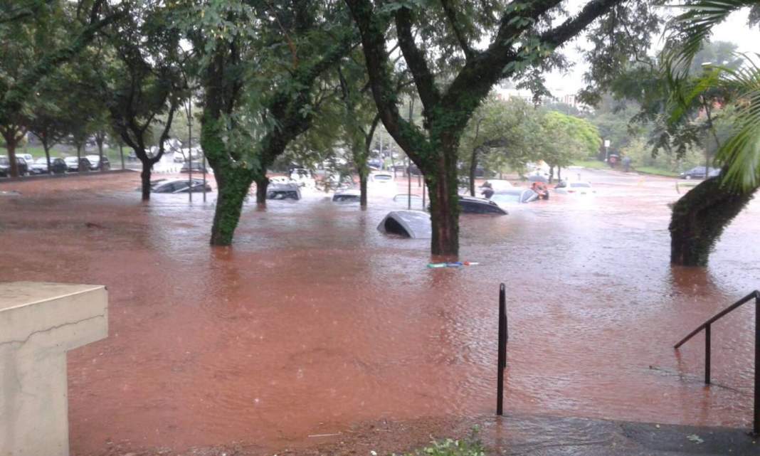 Forte chuva causa queda de árvores, muros e alagamentos em Campinas