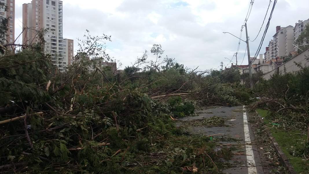 Região do Jardim Madalena fica devastada após microexplosão da madrugada de domingo