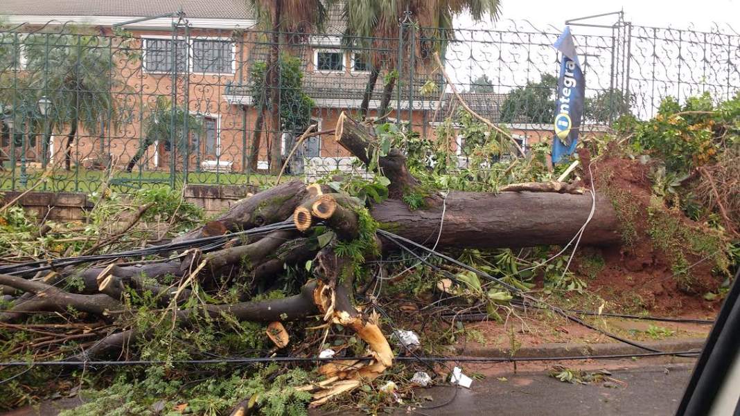 Embrapa calcula o passivo ambiental pós temporal que castigou Campinas