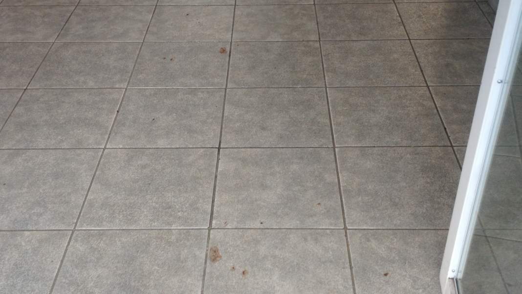 Delegacias de Campinas estão sem equipes de limpeza há pelo menos três semanas