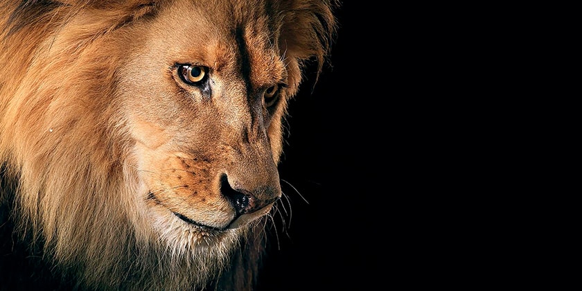 Kleber Marsariolli, professor do Centro Universitário UniMetrocamp Wyden, explica como declarar rendimentos sendo MEI