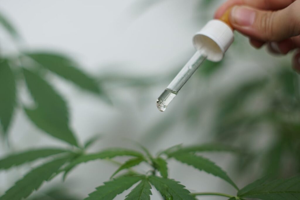 Governo Estadual regulamenta lei que permite remédio à base de canabidiol no SUS