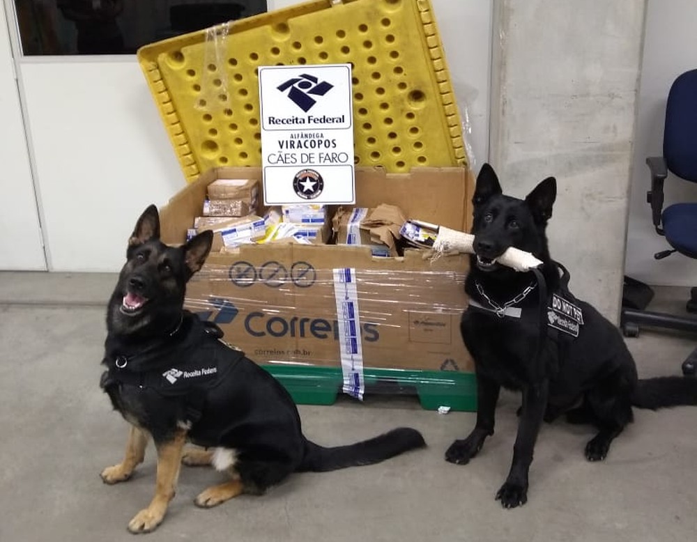Receita Federal apreende carga de drogas de R$ 1 milhão