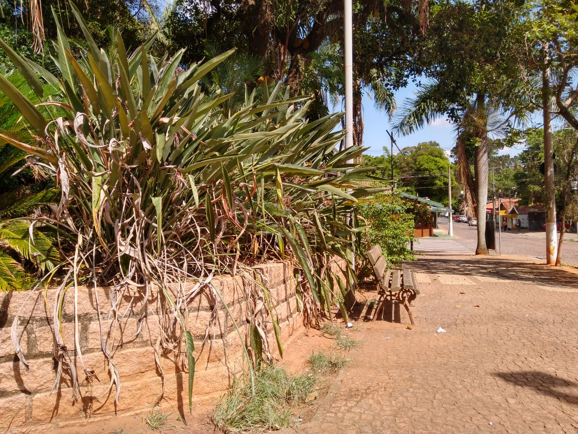 Conservação de praças é pedido de eleitores de Joaquim Egídio