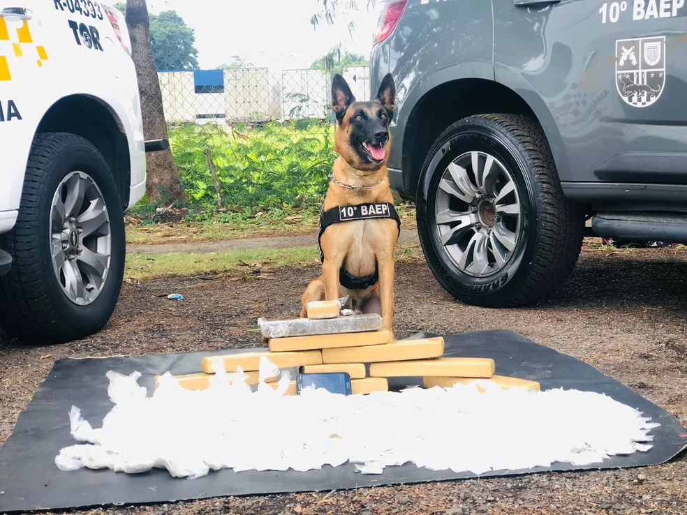 Passageiro de ônibus é preso por tráfico interestadual de drogas