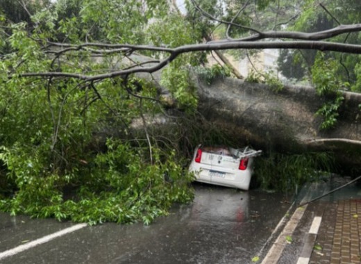 Balanço da Defesa Civil aponta 20 mortos e mais de 750 desabrigados no Estado durante as chuvas 