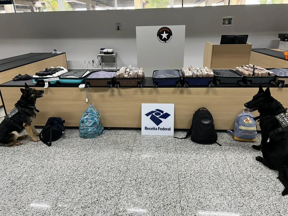 Receita apreende “supermaconha” avaliada em R$ 1 milhão, em Viracopos