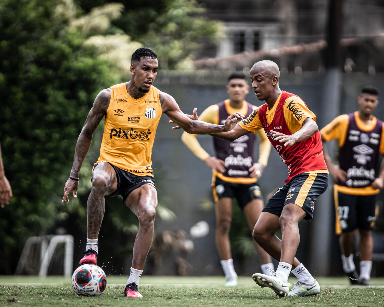 Em meio a crise, Santos se prepara para enfrentar o Santo André