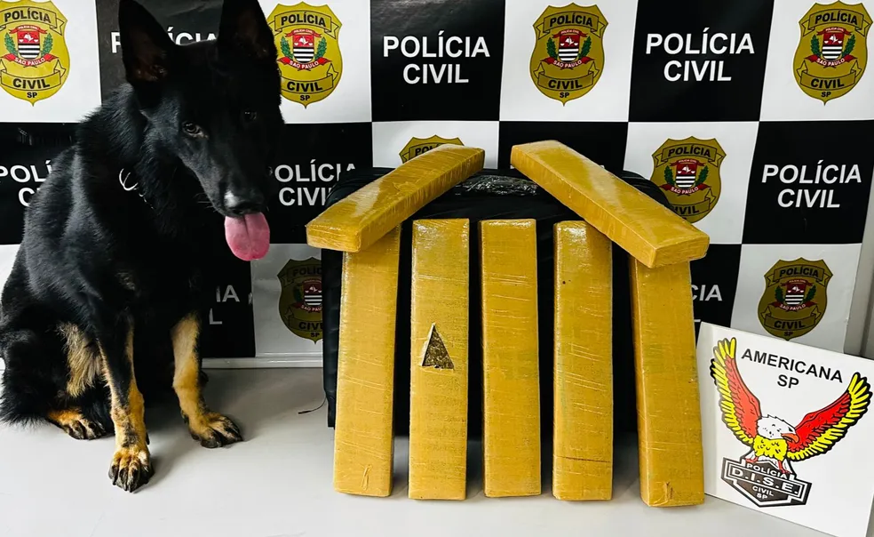 Mais 11kg de maconha são encontrados em ônibus apreendido na segunda