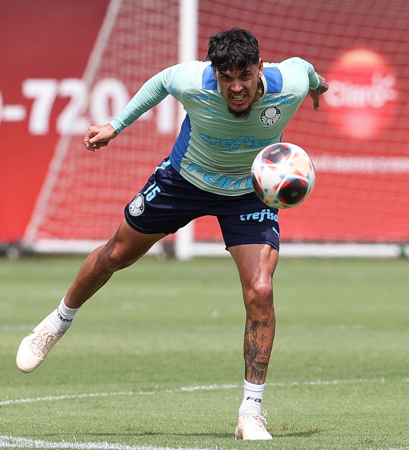 Palmeiras aguarda chegada de últimos selecionáveis para montar equipe para final