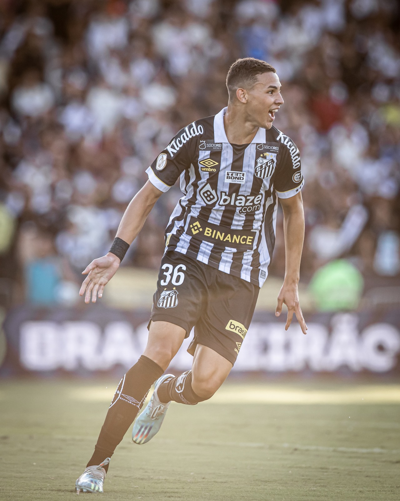 Técnico Odair Hellmann vibra com a vitória do Santos em São Januário