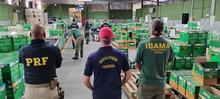 Operação apreende 152 ton. de agrotóxicos no interior de SP; multas totalizam R$ 10,4 milhões 