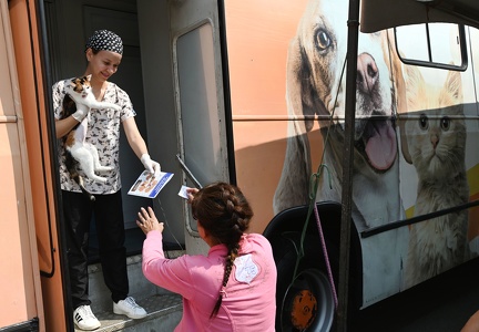 Campinas abre 1.000 vagas para castração gratuita de cães e gatos