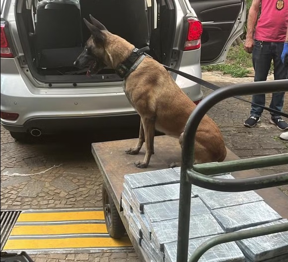 Carro de homem que tentou fugir de abordagem em Campinas tinha 50kg de cocaína