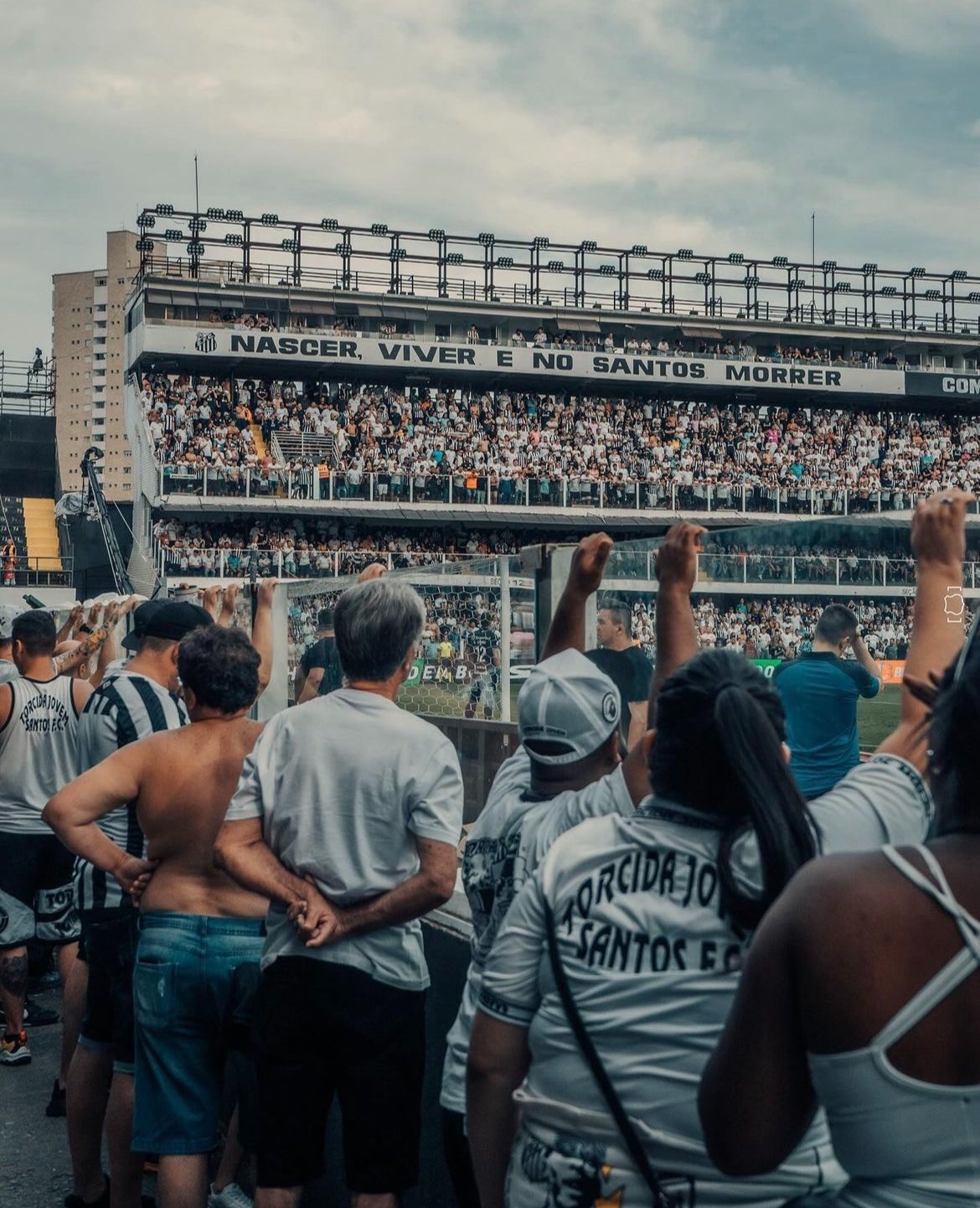 Torcida Do Santos Esgota Ingressos Para última Rodada Do Brasileirão ...