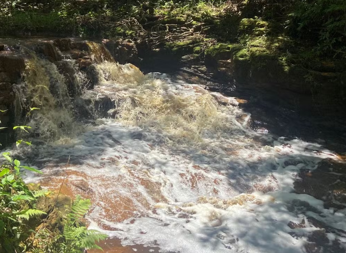 Empresa é multada em R$ 70 mil por despejo de vinhaça no Córrego Tamandupá