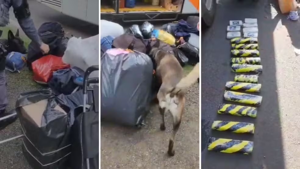 Polícia apreende drogas em ônibus de turismo