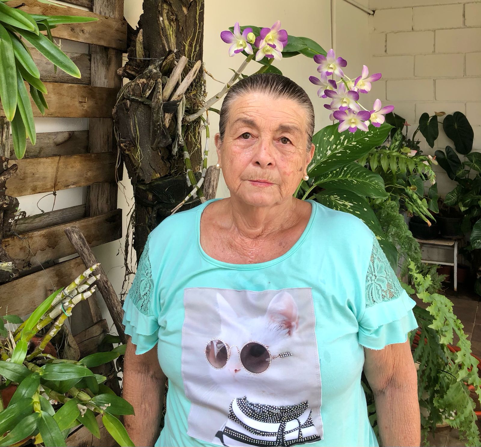 Especial Mulheres: A experiência da dona Benedita da Casa da Sopa; ouça