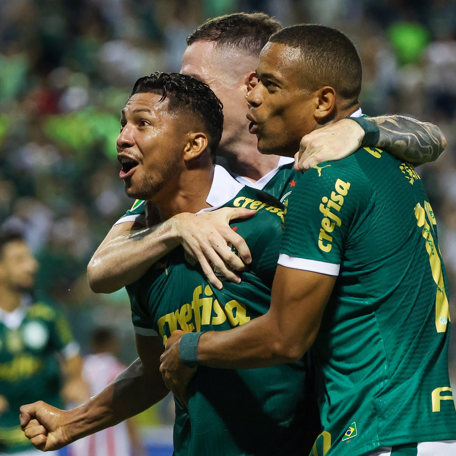Possibilidade de tri-campeonato embala Palmeiras contra Ponte Preta