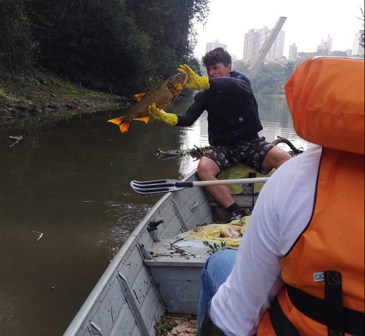 Mortandade de peixes em Piracicaba é a maior dos últimos 10 anos