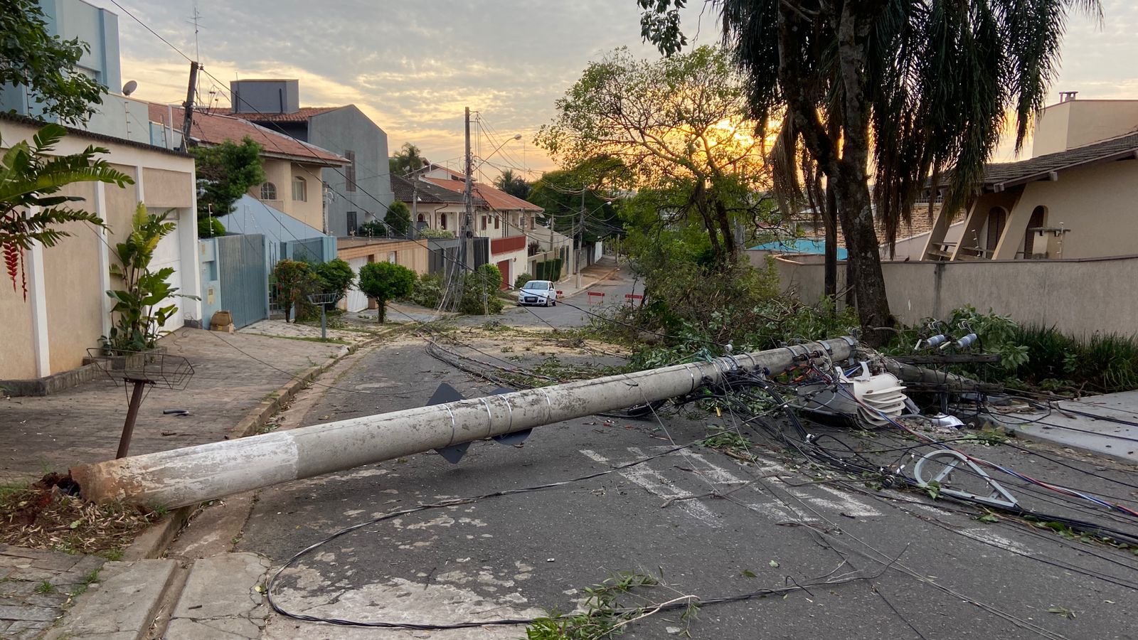 Árvore e dois postes caem e bloqueiam rua na Vila Brandina, em Campinas