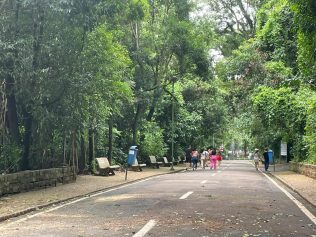 Bosque dos Jequitibás em Campinas reabriu ao público