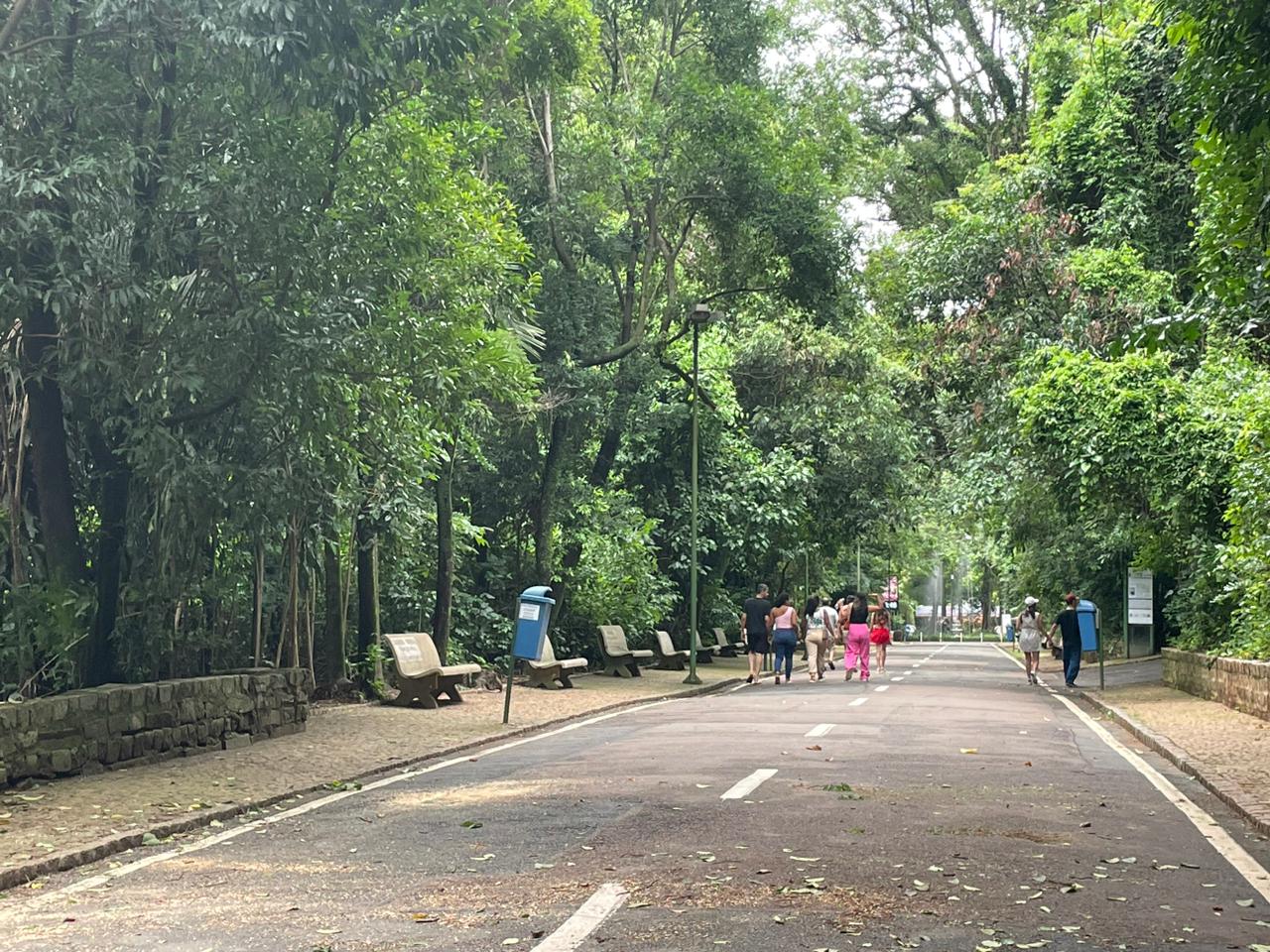 Bosque dos Jequitibás em Campinas reabriu ao público