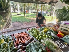 feira, legumes, aumento no preço dos alimentos