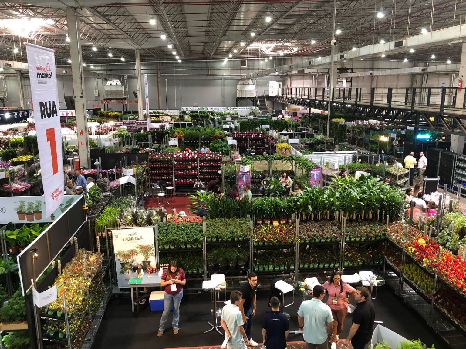 Embalagem perfumada de orquídea e planta pet são destaques na maior feira do setor CBN