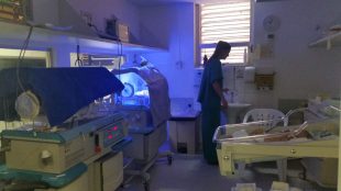 Caism, UTI Neonatal, Hospital da Mulher Unicamp