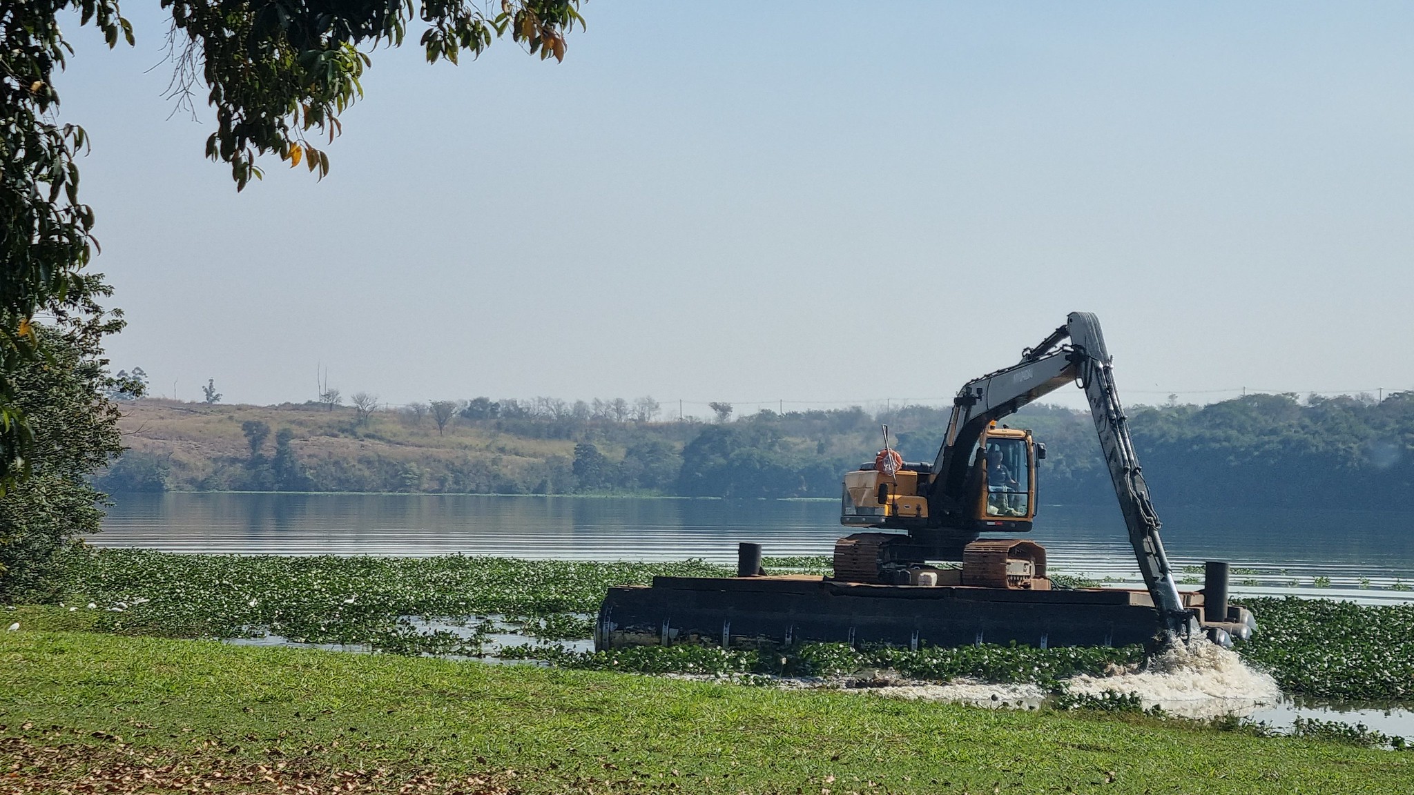 Americana afirma que Represa do Salto Grande está com 97% menos plantas aquáticas