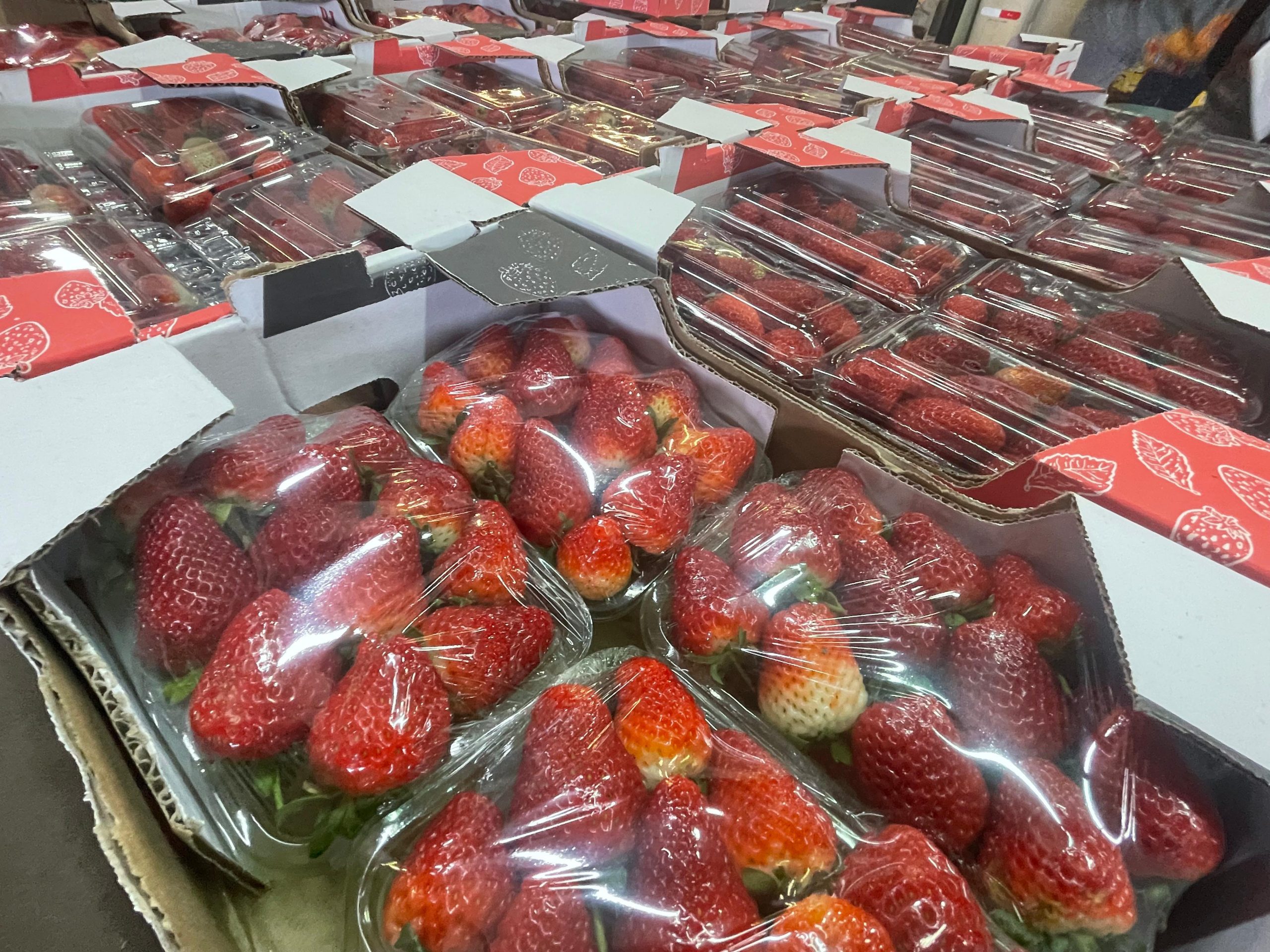 Após febre com doce, preço do morango tem queda com baixa demanda