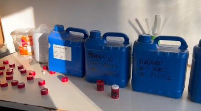 bebidas falsas Americana