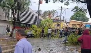 Queda de árvores na Rua Roberto Gonçalves Teixeira, no centro de Monte Mor