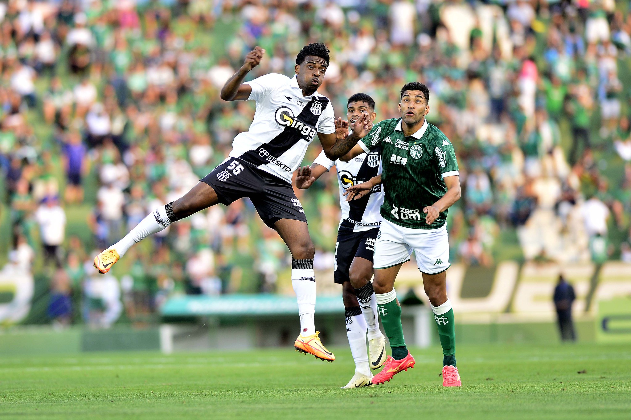 Site detalha probabilidade de acesso de Ponte Preta e Guarani