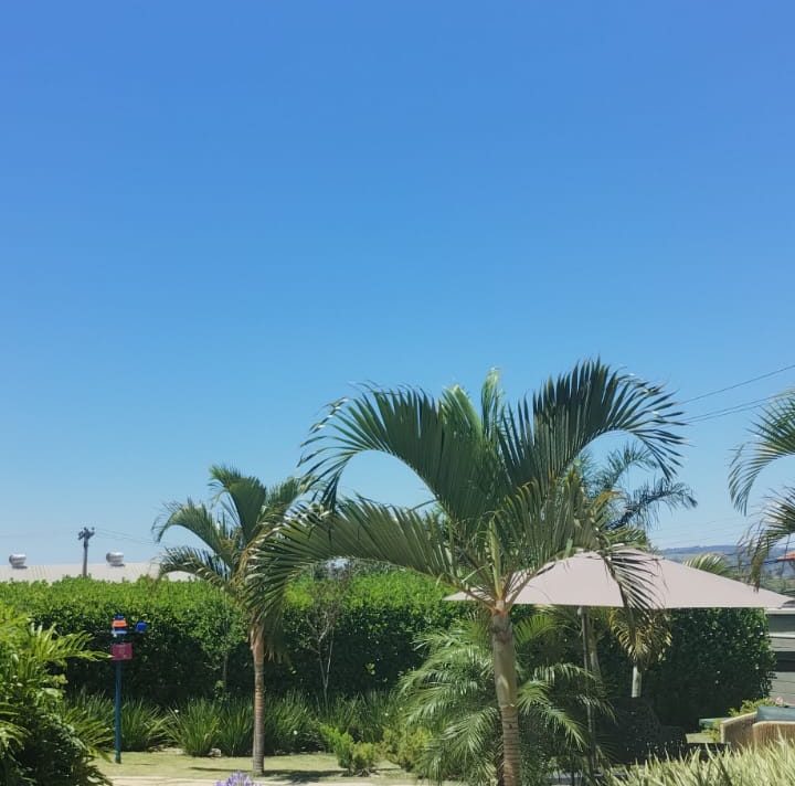 Sábado deve ser de sol na região de Campinas; domingo pode ter chuva