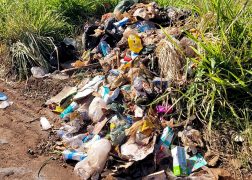 Santa Bárbara d'Oeste