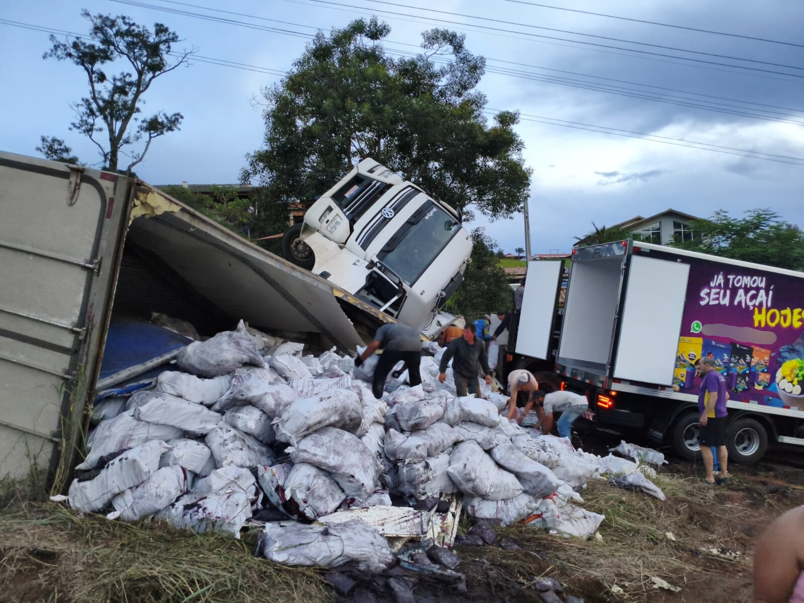 Carreta com 32 toneladas de açaí tomba em estrada de Socorro 